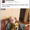 Tippy, belongs to Charla Burton, 247-0022